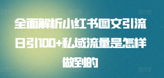 全面解析小红书图文引流日引100私域流量是怎样做到的-小何资源库