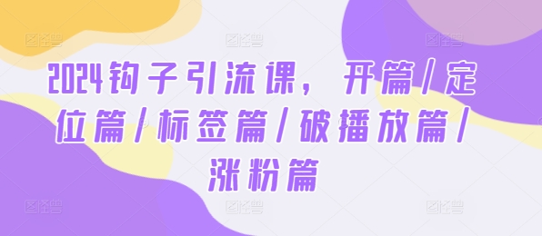 2024钩子引流课，开篇/定位篇/标签篇/破播放篇/涨粉篇-小何资源库
