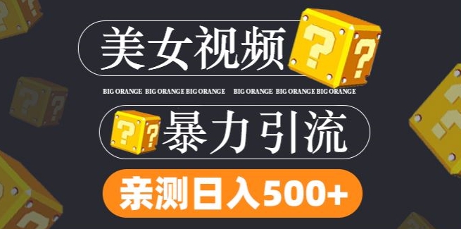 搬运tk美女视频全网分发，日引s粉300+，轻松变现，不限流量不封号【揭秘】-小何资源库