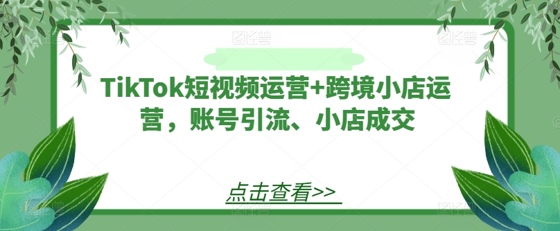 TikTok短视频运营+跨境小店运营，账号引流、小店成交-小何资源库