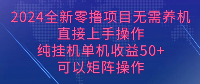 2024全新零撸项目，无需养机，直接上手操作 纯挂JI，单机收益50+，可以矩阵操作-小何资源库