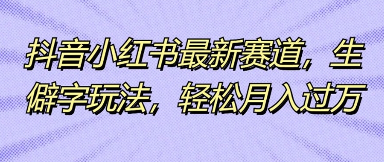 抖音小红书最新赛道，生僻字玩法，轻松月入过万-小何资源库