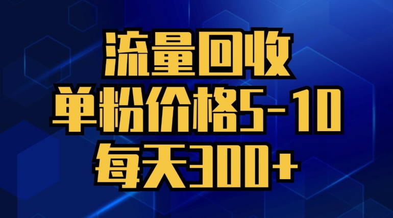 流量回收，单粉价格5-10，每天300+，轻松月入五位数-小何资源库