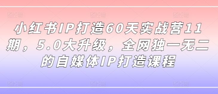 小红书IP打造60天实战营11期，5.0大升级，全网独一无二的自媒体IP打造课程-小何资源库