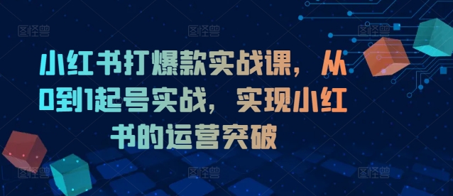 小红书打爆款实战课，从0到1起号实战，实现小红书的运营突破-小何资源库