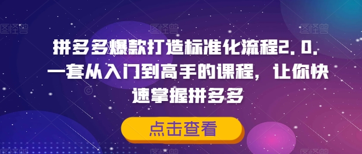 拼多多爆款打造标准化流程2.0，一套从入门到高手的课程，让你快速掌握拼多多-小何资源库