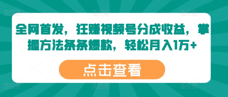 全网首发，狂赚视频号分成收益，掌握方法条条爆款，轻松月入1万+-小何资源库