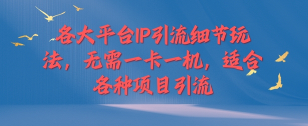 各大平台IP引流细节玩法，无需一卡一机，适合各种项目引流-小何资源库