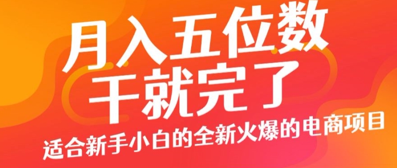 月入五位数，干就完了， 适合新手小白的全新火爆的电商项目-小何资源库