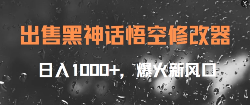 出售黑神话悟空修改器，日入1k+，爆火新风口-小何资源库