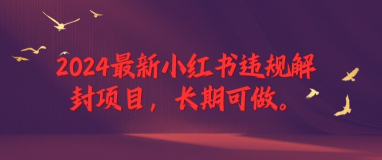 2024最新小红书违规解封项目，长期可做，一个可以做到退休的项目【揭秘】-小何资源库