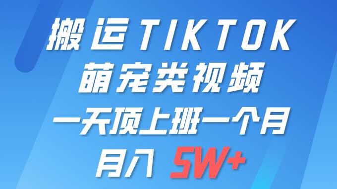 一键搬运TIKTOK萌宠类视频 一部手机即可操作 所有平台均可发布 轻松月入5W+-小何资源库