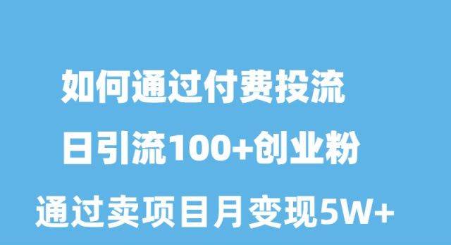 如何通过付费投流日引流100+创业粉月变现5W+-小何资源库