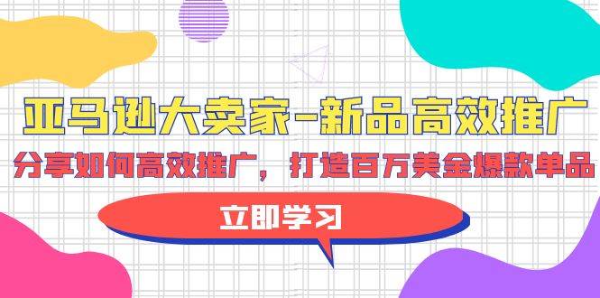亚马逊 大卖家-新品高效推广，分享如何高效推广，打造百万美金爆款单品-小何资源库