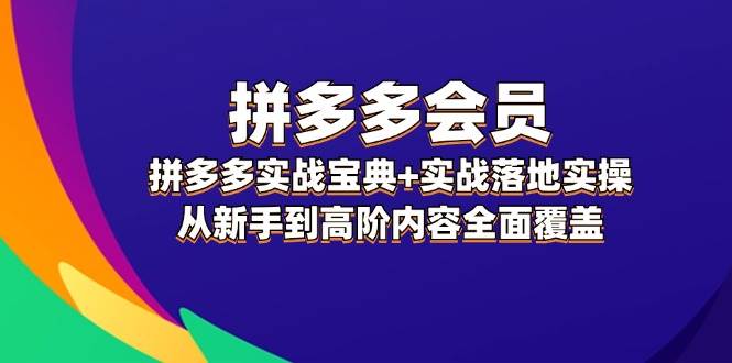 拼多多 会员，拼多多实战宝典+实战落地实操，从新手到高阶内容全面覆盖-小何资源库