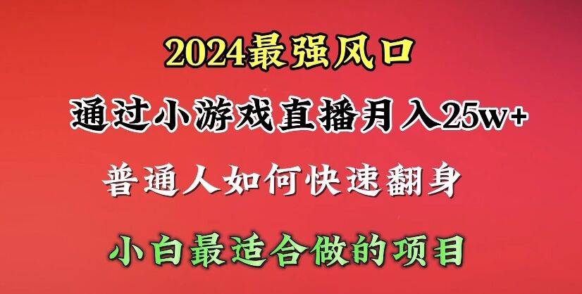 2024年最强风口，通过小游戏直播月入25w+单日收益5000+小白最适合做的项目-小何资源库