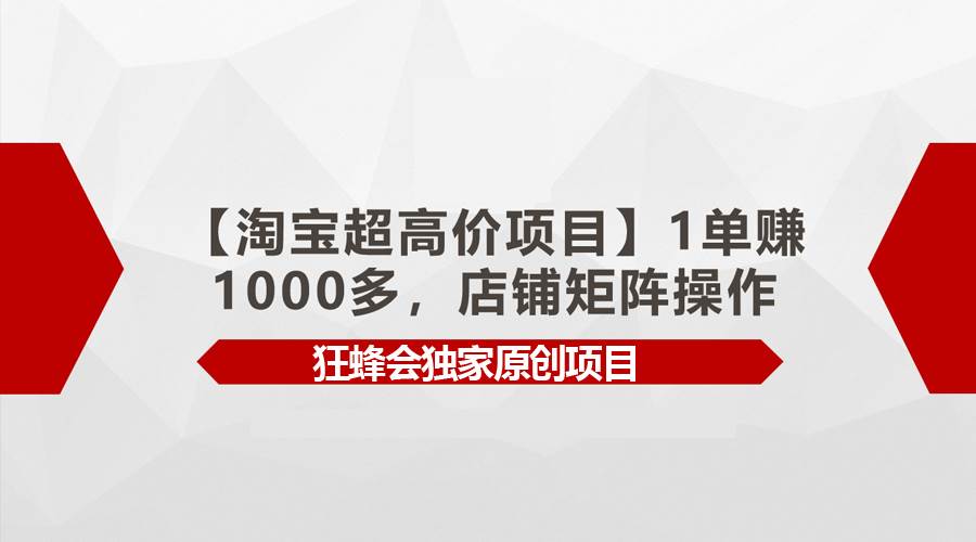 【淘宝超高价项目】1单赚1000多，店铺矩阵操作-小何资源库