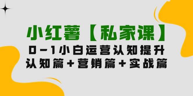 小红薯【私家课】0-1玩赚小红书内容营销，认知篇+营销篇+实战篇（11节课）-小何资源库