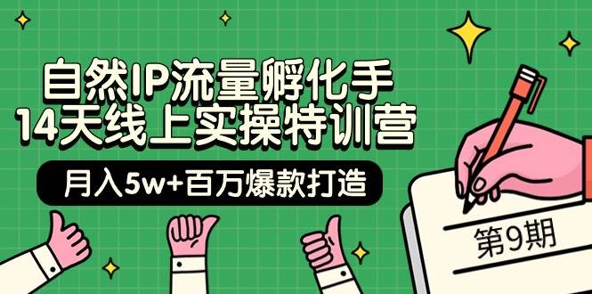 自然IP流量孵化手 14天线上实操特训营【第9期】月入5w+百万爆款打造 (74节)-小何资源库