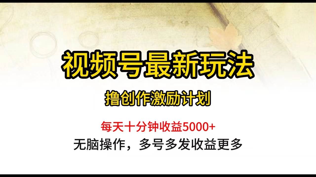 视频号最新玩法，每日一小时月入5000+-小何资源库