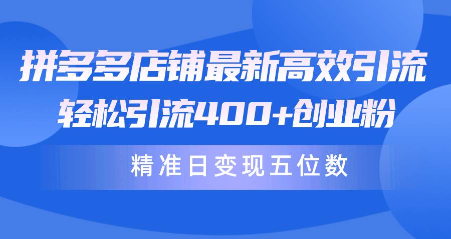 拼多多店铺最新高效引流术，轻松引流400+创业粉，精准日变现五位数！-小何资源库