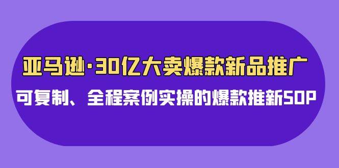 亚马逊30亿·大卖爆款新品推广，可复制、全程案例实操的爆款推新SOP-小何资源库