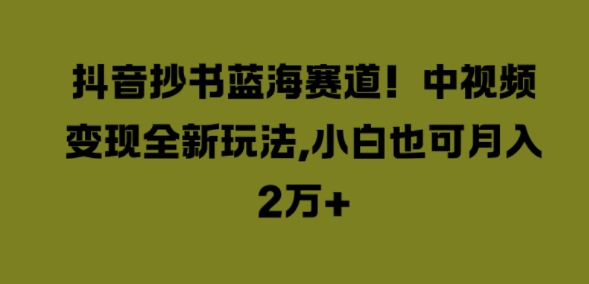 抖音抄书蓝海赛道，中视频变现全新玩法，小白也可月入2W+-小何资源库