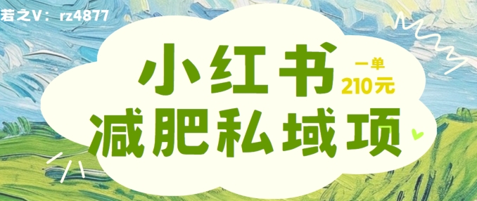 小红书减肥粉，私域变现项目，一单就达210元，小白也能轻松上手【揭秘】-小何资源库