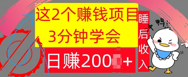 这2个项目，3分钟学会，日赚几张，懒人捡钱-小何资源库