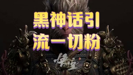 黑神话悟空五分钟打造爆款私域引流视频-小何资源库