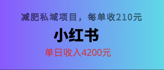 小红书减肥私域项目，每单210元，单日可卖出15单，利润3150-小何资源库
