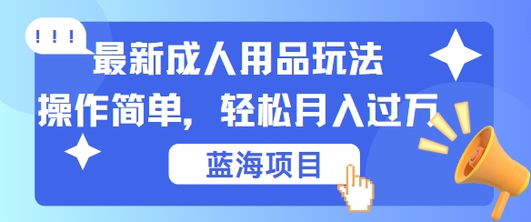 最新成人用品项目玩法，操作简单，动动手，轻松日入几张【揭秘】-小何资源库