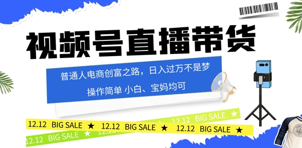 视频号读稿带货，普通人电商创富之路，小白、宝妈均可-小何资源库