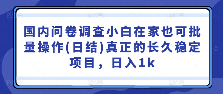 国内问卷调查小白在家也可批量操作(日结)真正的长久稳定项目，日入1k【揭秘】-小何资源库