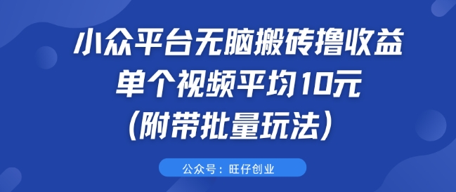 小众平台无脑搬砖撸收益 单个视频平均10元 (附带批量玩法)-小何资源库