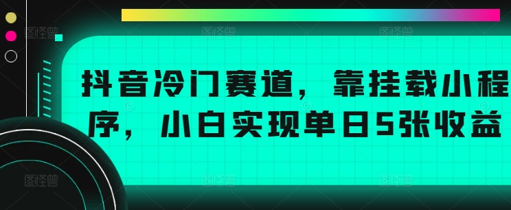 抖音冷门赛道，靠挂载小程序，小白实现单日5张收益-小何资源库