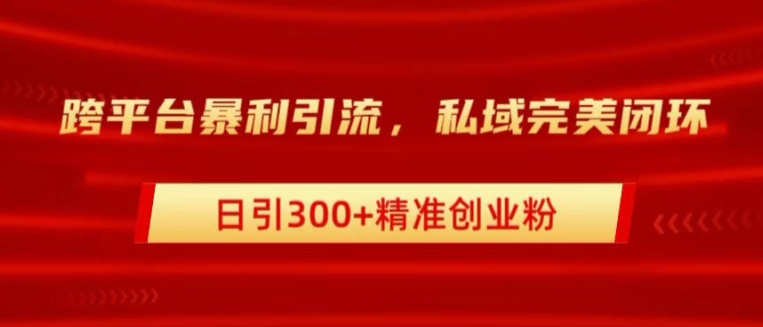 跨平台暴力引流，私域完美闭环，日引100+精准创业粉-小何资源库