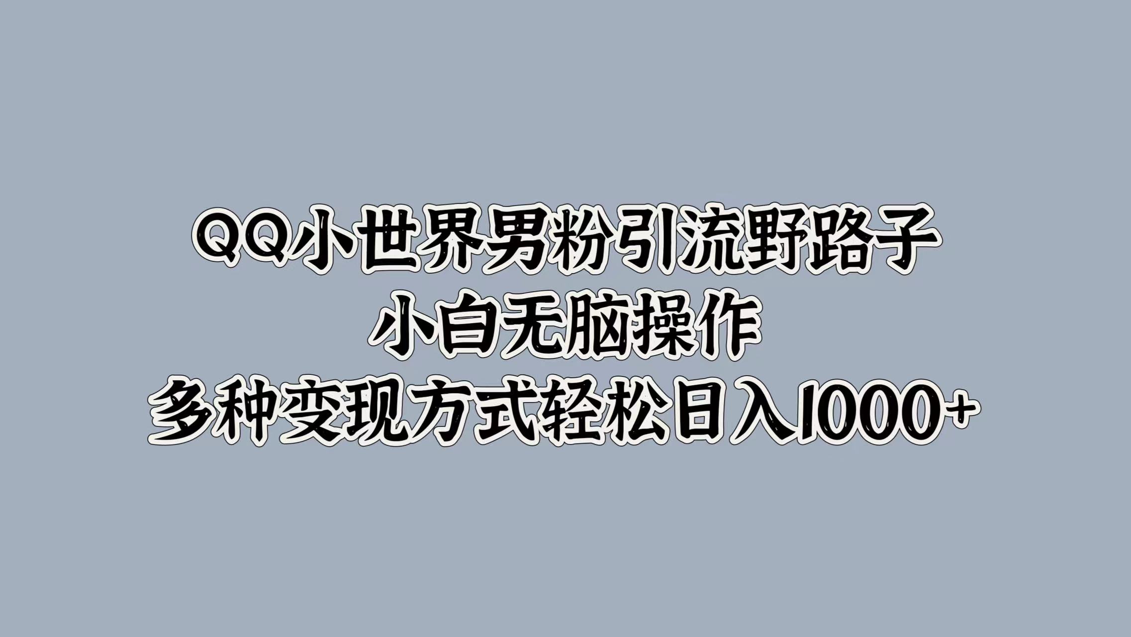 QQ小世界男粉引流野路子，小白无脑操作，多种变现方式-小何资源库