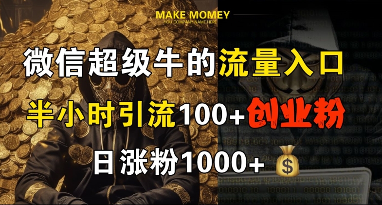 微信超级牛的流量入口，半小时引流100+创业粉，日涨粉1000+-小何资源库