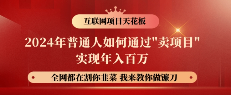 2024年普通人如何通过”卖项目”实现年入百万-小何资源库
