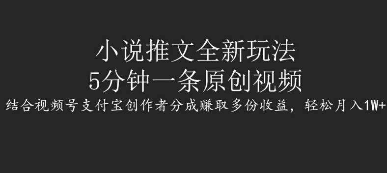 小说推文全新玩法，5分钟一条原创视频，结合视频号支付宝创作者分成赚取多份收益，轻松月入1W+-小何资源库