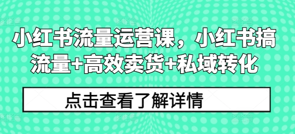 小红书流量运营课，小红书搞流量+高效卖货+私域转化-小何资源库