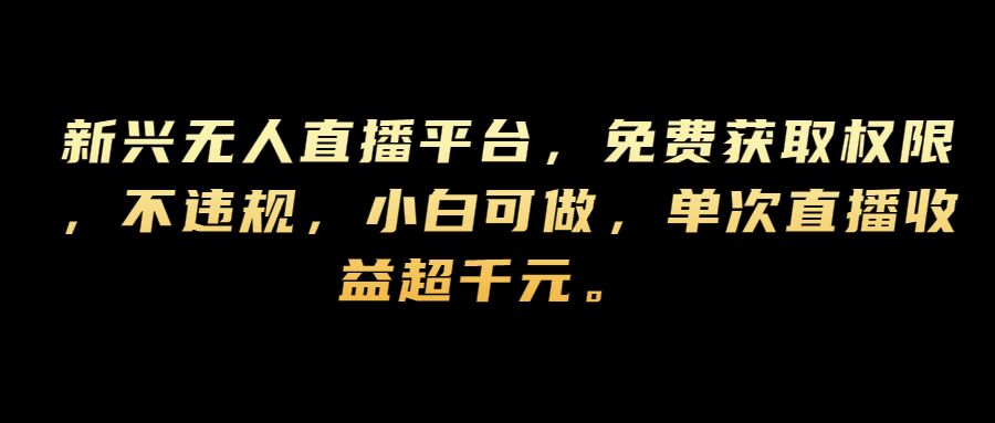 新兴无人直播平台，免费获取权限，不违规，小白可做，单次直播收益超千元-小何资源库