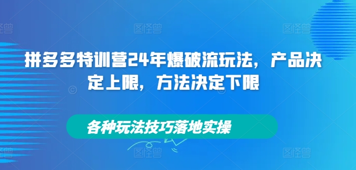 拼多多特训营24年爆破流玩法，产品决定上限，方法决定下限，各种玩法技巧落地实操-小何资源库