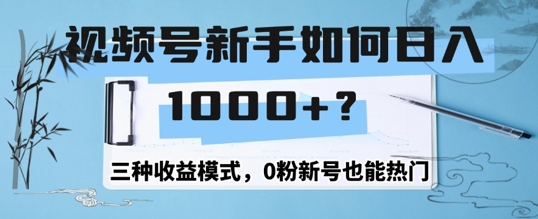 视频号新手如何日入1k？三种收益模式，0粉新号也能热门-小何资源库