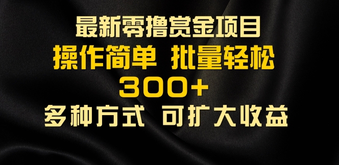 2024最新零撸赏金项目，无需养机，直接上手操作 ，单机收益30+，适合批量放大-小何资源库