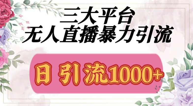 三大平台无人直播引流，吸引精准创业粉-小何资源库