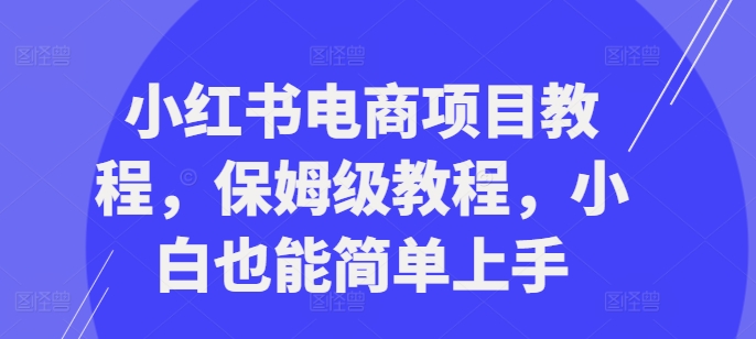 小红书电商项目教程，保姆级教程，小白也能简单上手-小何资源库