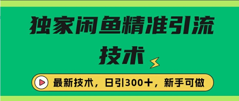 闭鱼精准引流，日引300+创业粉保姆级教程，新手可做-小何资源库