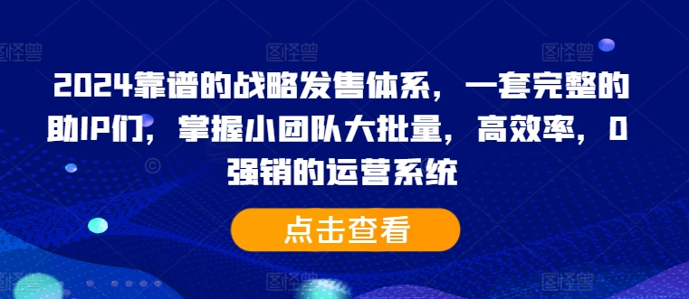2024靠谱的战略发售体系，一套完整的助IP们，掌握小团队大批量，高效率，0 强销的运营系统-小何资源库